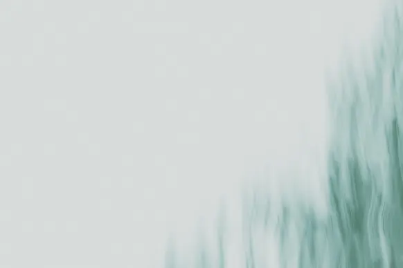 Kazino Wild Tornado Pagalba